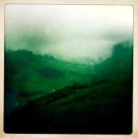 IMG_8719.JPG