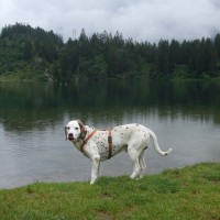 2011_maderanertal_00007.jpg