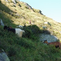 DSC_0017.JPG